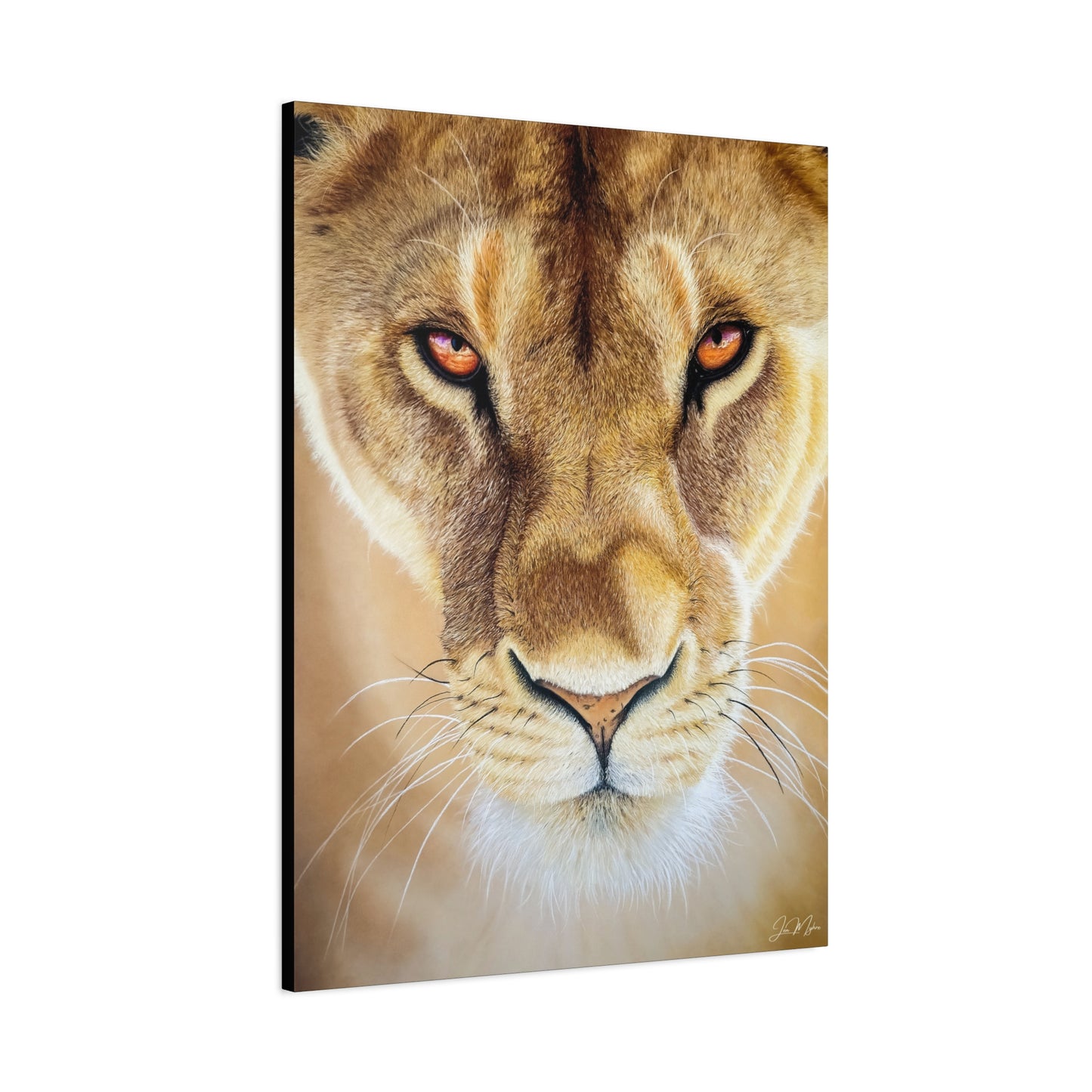 POWER | Original Lioness Art Print