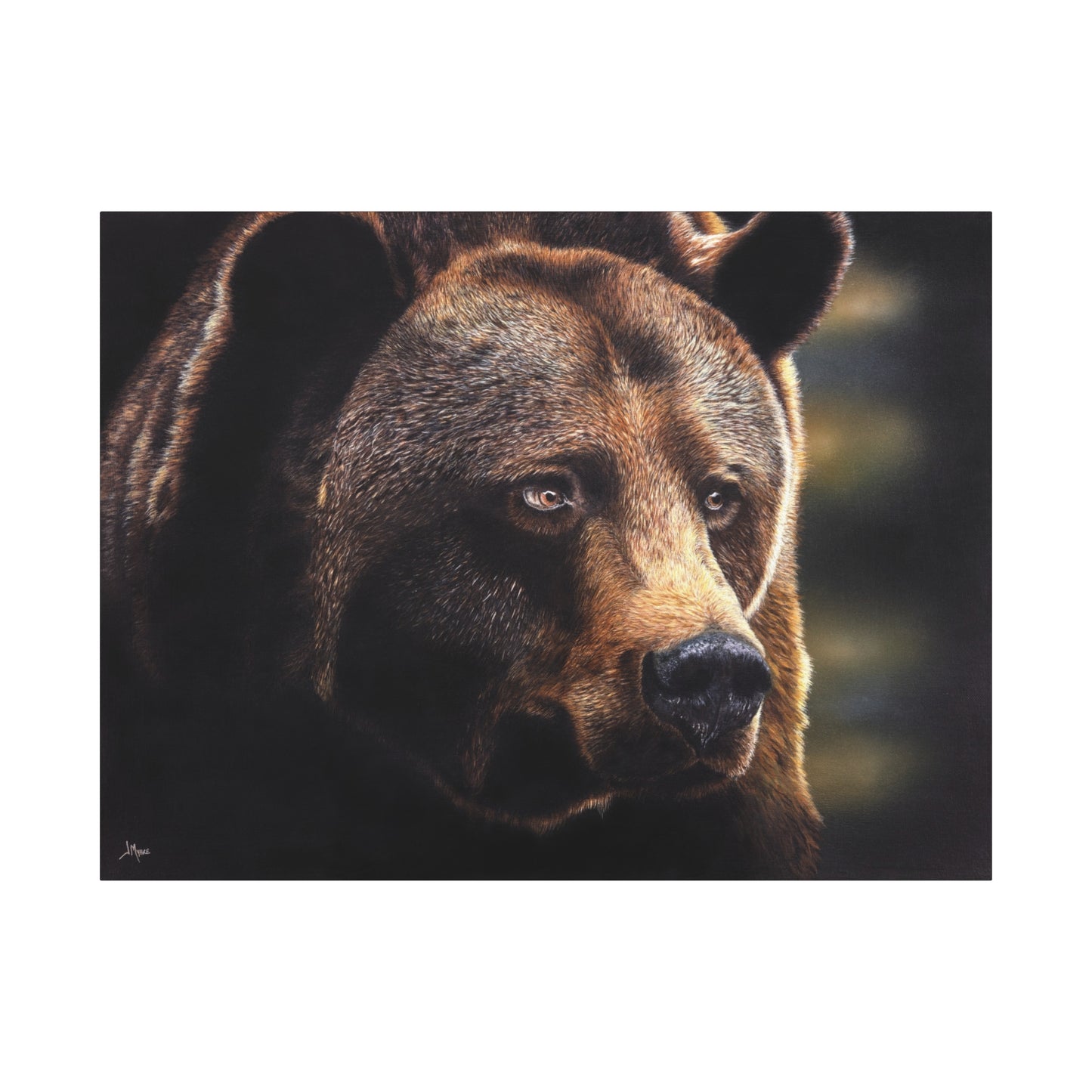 Out Of Darkness | Original Bear Canvas Art Print