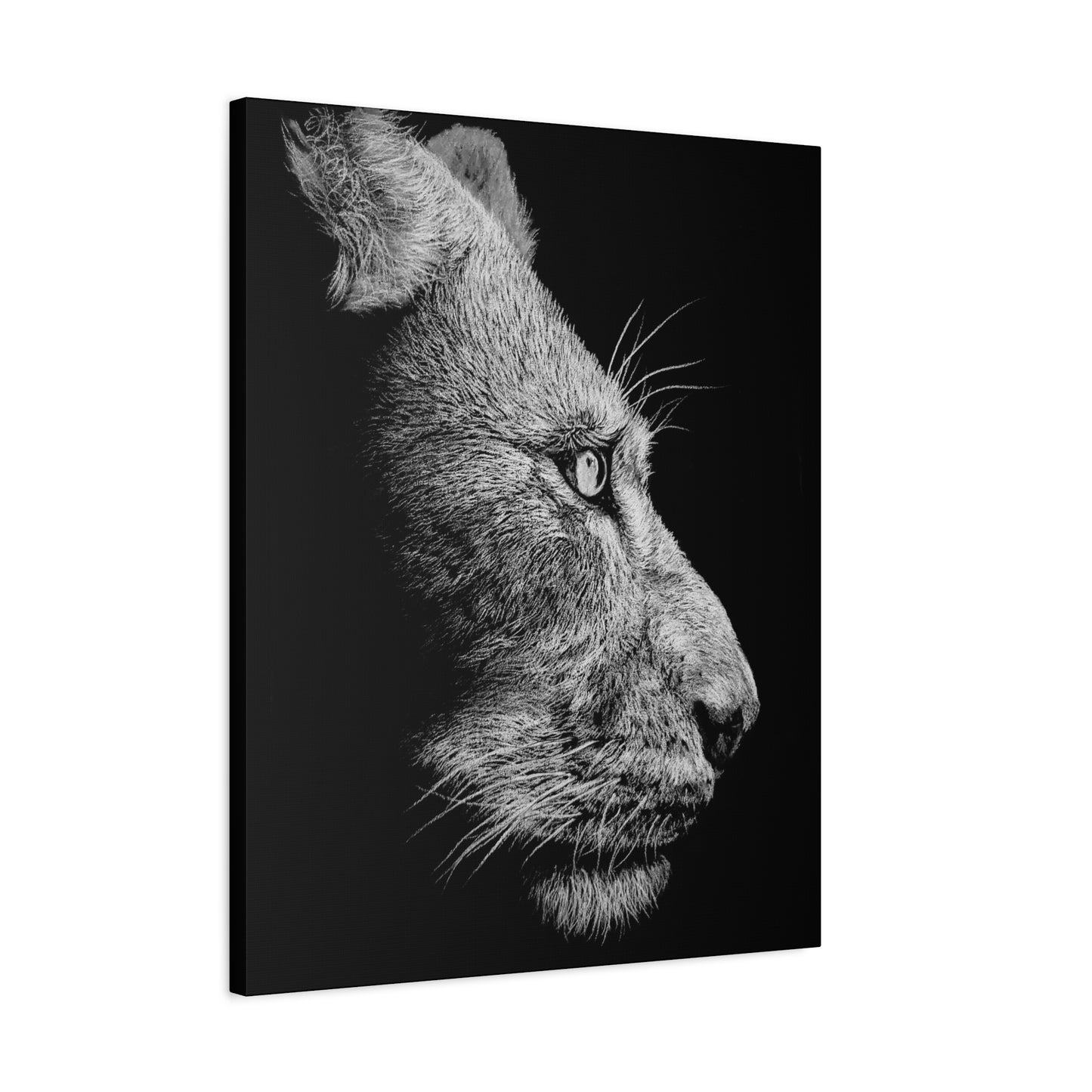 WHITE LIONESS Canvas Print | Original Art | Eco-Friendly