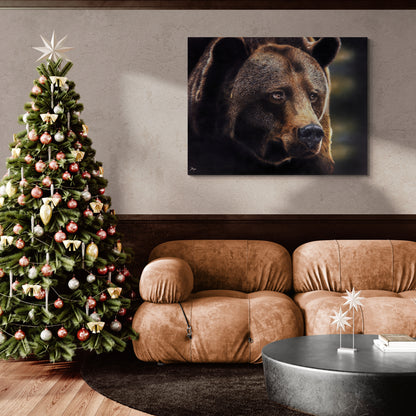 Out Of Darkness | Original Bear Canvas Art Print