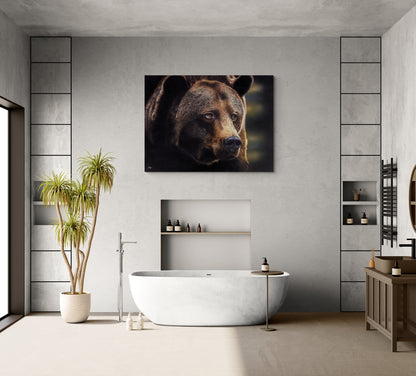 Out Of Darkness | Original Bear Canvas Art Print